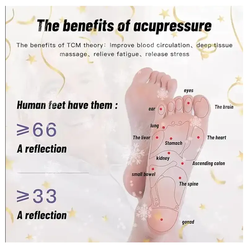 Dual Foot Massage Roller Bb-68